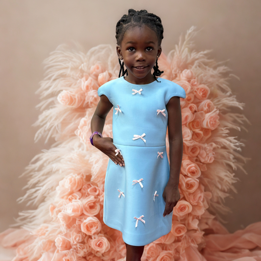 Blue Princess Bow Dress